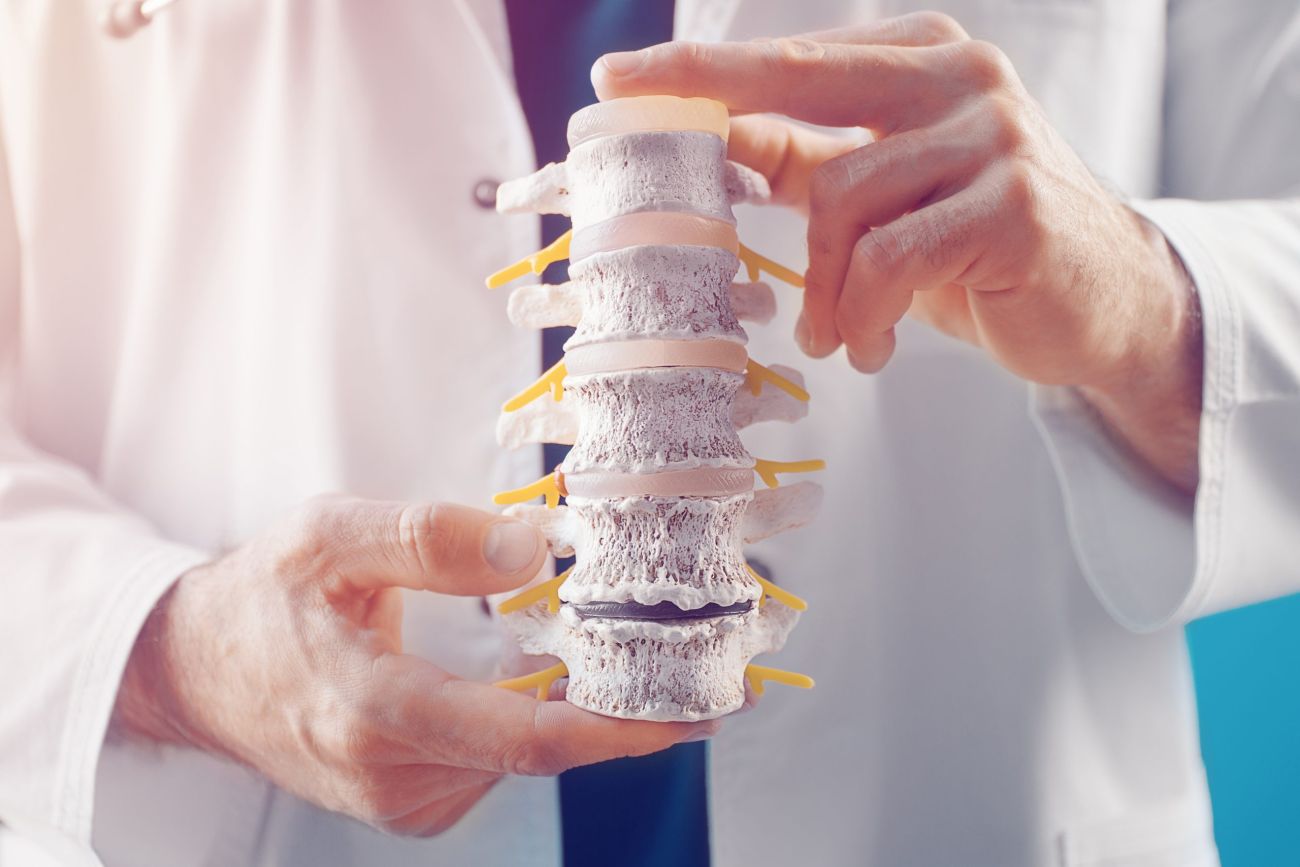 Doctor holding back model