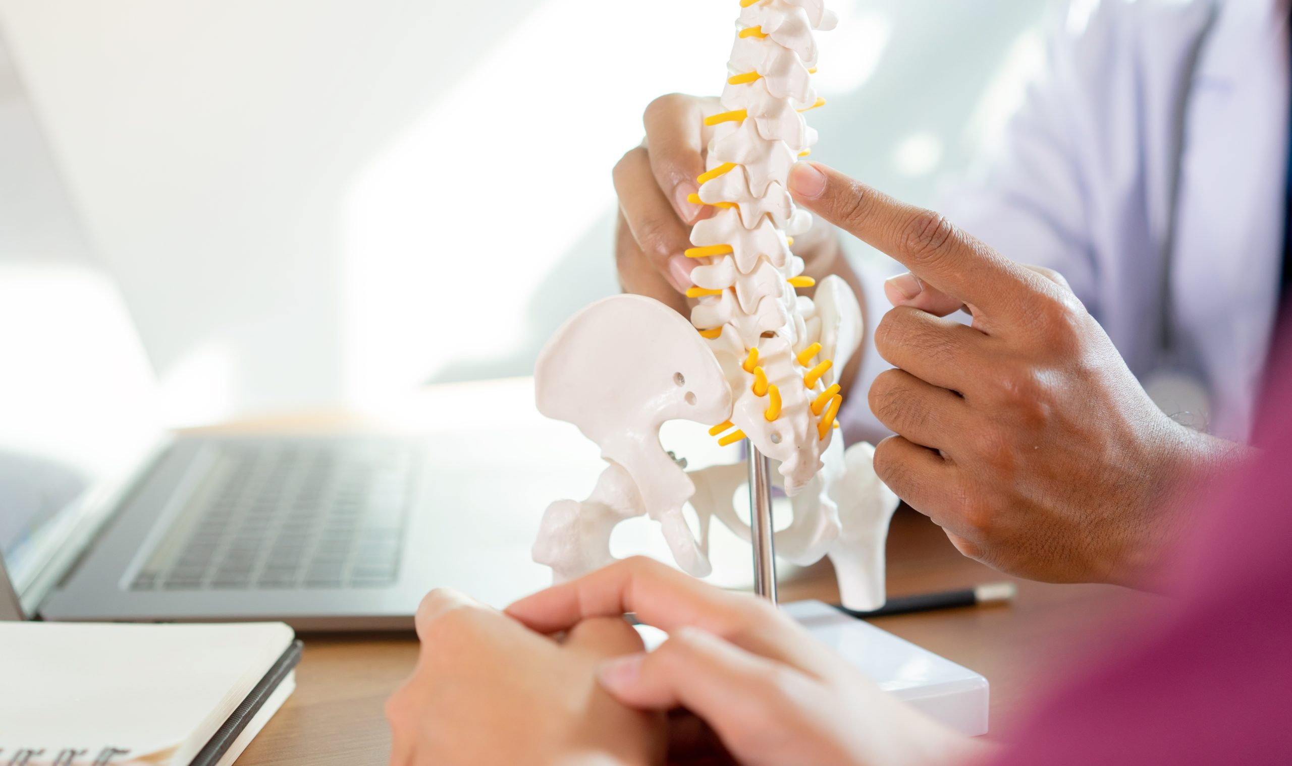 Spine model