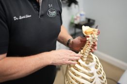 Dr. Likens with a skeletal model
